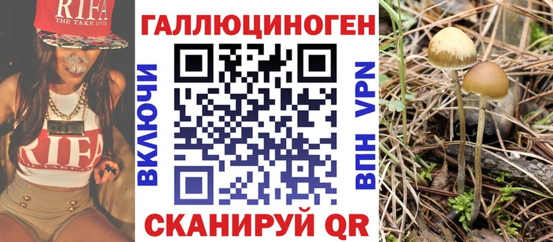 Псилоцибиновые грибы GOLDEN TEACHER  Купить где  Малгобек 